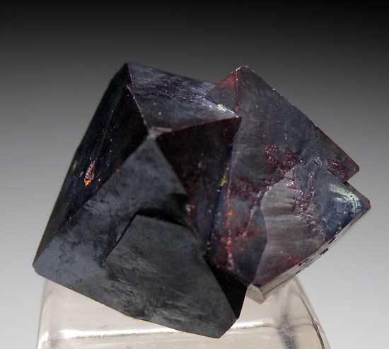 Cuprite from Poteryaevskoe Mine, Rubtsovskoe deposit, Siberia, Russia [db_pics/pics/e355c.jpg]