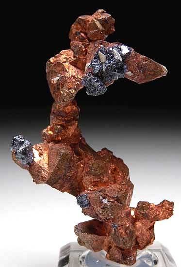 Cuprite on Copper from Rubtsovskiy Mine, Altayskiy Kray, Siberia, Russia [db_pics/pics/e578a.jpg]