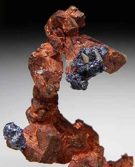 Cuprite on Copper from Rubtsovskiy Mine, Altayskiy Kray, Siberia, Russia [db_pics/pics/e578c.jpg]