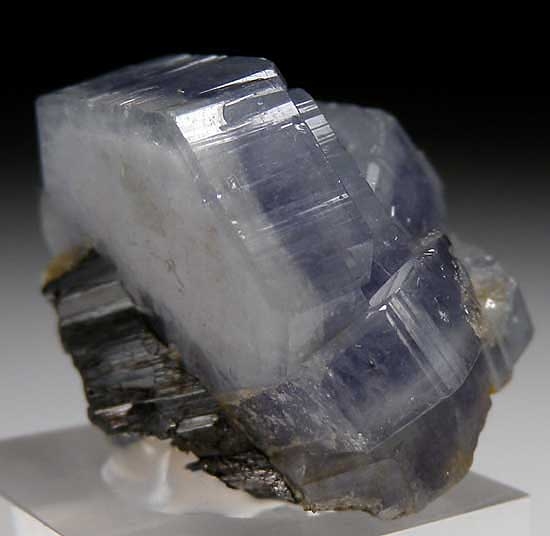 Apatite with Ferberite from Panasquiera, Portugal [db_pics/pics/e580b.jpg]