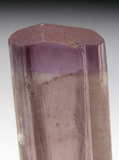 Diaspore from Aydun, Mugula, Turkey [db_pics/pics/e617b.jpg]