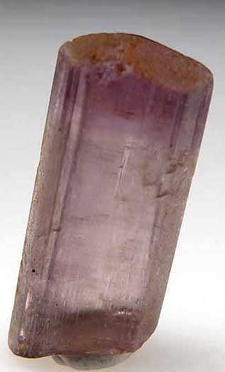 Diaspore from Aydun, Mugula, Turkey [db_pics/pics/e618a.jpg]