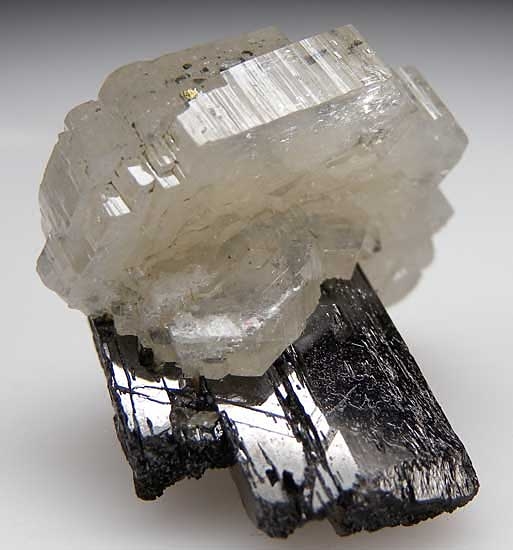 Apatite on Ferberite from Panasquiera Mine, Barroca Grande, Beira Baxia, Portugal [db_pics/pics/e624b.jpg]