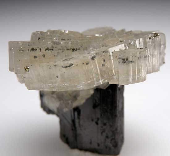 Apatite on Ferberite from Panasquiera Mine, Barroca Grande, Beira Baxia, Portugal [db_pics/pics/e624c.jpg]