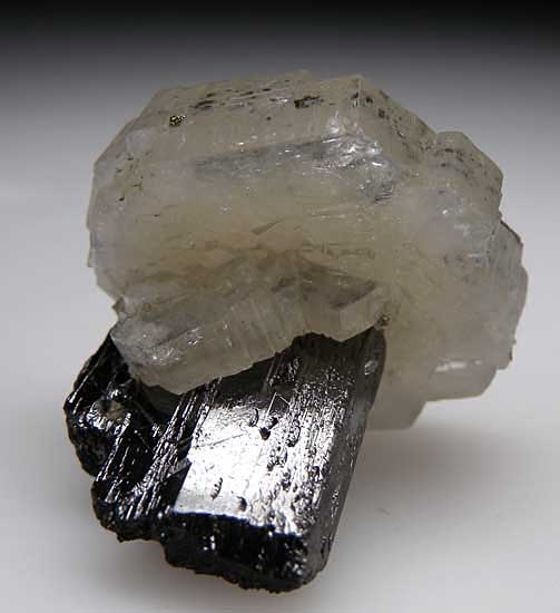 Apatite on Ferberite from Panasquiera Mine, Barroca Grande, Beira Baxia, Portugal [db_pics/pics/e624d.jpg]