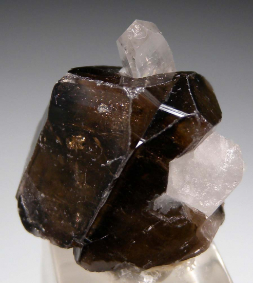 Cassiterite with Quartz from Yunnan Prov., China [db_pics/pics/fm130a.jpg]