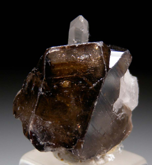 Cassiterite with Quartz from Yunnan Prov., China [db_pics/pics/fm130b.jpg]