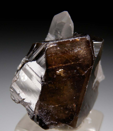 Cassiterite with Quartz from Yunnan Prov., China [db_pics/pics/fm130c.jpg]