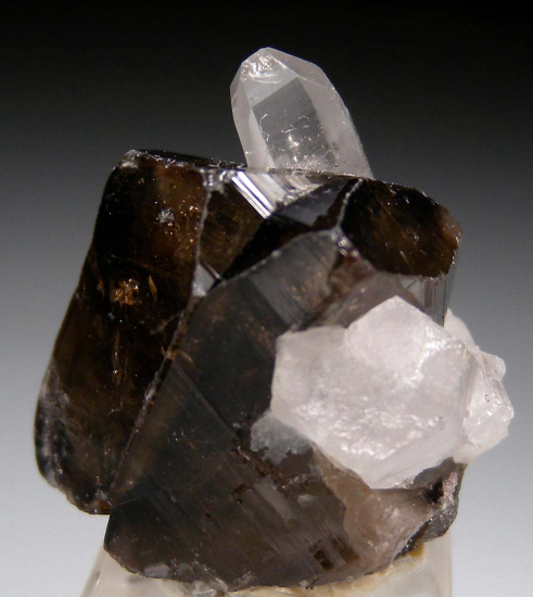 Cassiterite with Quartz from Yunnan Prov., China [db_pics/pics/fm130d.jpg]