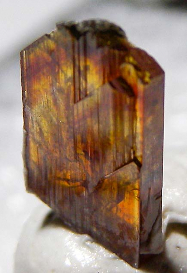 Raspite from Broken Hill, NSW, Australia [db_pics/pics/fm131c.jpg]