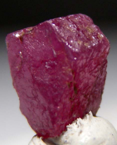 Ruby from Orange Co., New York, USA [db_pics/pics/fm223c.jpg]