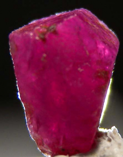 Ruby from Orange Co., New York, USA [db_pics/pics/fm223e.jpg]