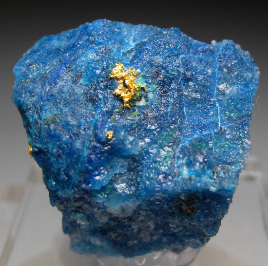 Gold in Shattuckite from Okozondje, near Otjokavare, Kunene Prov., Namibia [db_pics/pics/fm241a.jpg]