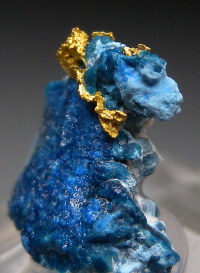 Gold in Shattuckite from Okozondje, near Otjokavare, Kunene Prov., Namibia [db_pics/pics/fm242b.jpg]