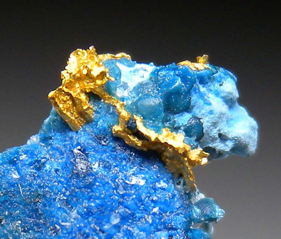 Gold in Shattuckite from Okozondje, near Otjokavare, Kunene Prov., Namibia [db_pics/pics/fm242c.jpg]