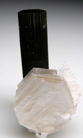 Tourmaline from Stak Nala, Skardu, Pakistan [db_pics/pics/fm249a.jpg]
