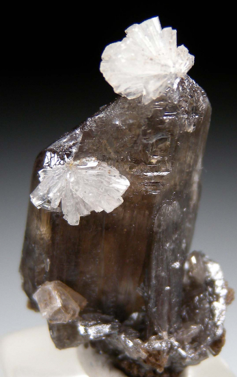 Hemimorphite on Cerussite from Mfouati, Bouenza Dept., Rep. of Congo [db_pics/pics/fm250a.jpg]
