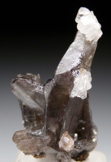 Hemimorphite on Cerussite from Mfouati, Bouenza Dept., Rep. of Congo [db_pics/pics/fm250b.jpg]