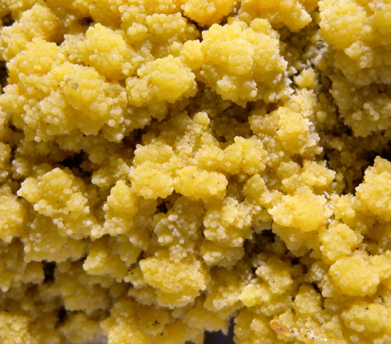 Mimetite from Mina Oujela, Mapimi, Durango, Mexico [db_pics/pics/fm321e.jpg]