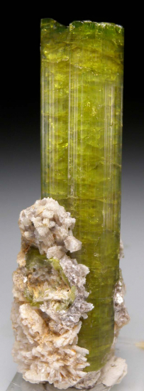 Tourmaline from Urubu Mine, Itinga, Minas Gerais, Brazil [db_pics/pics/fm369a.jpg]