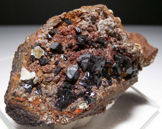 Scorodite with Austinite from Mina Oujela, Mapimi, Durango, Mexico [db_pics/pics/fm394b.jpg]