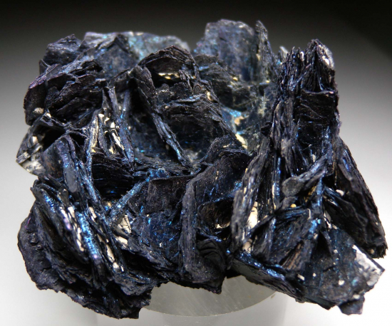 Covellite from Butte, Silver Bow Co., Montana, USA [db_pics/pics/fm464a.jpg]