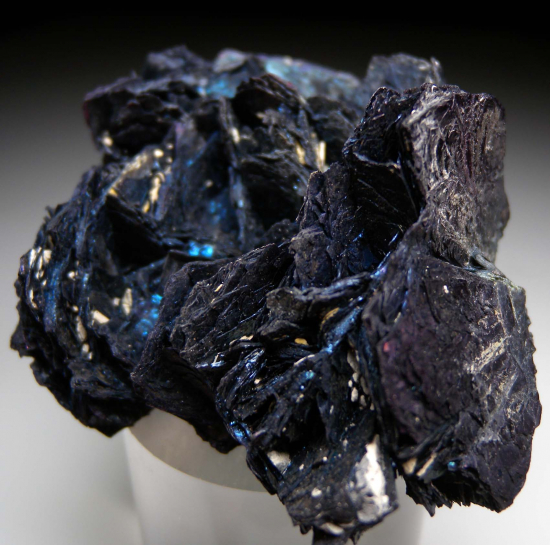 Covellite from Butte, Silver Bow Co., Montana, USA [db_pics/pics/fm464b.jpg]