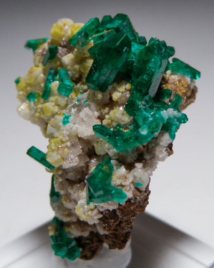 Willemite and Dioptase from Gotala, near Mindouli, Pool Dept., Rep. of Congo [db_pics/pics/fm523b.jpg]