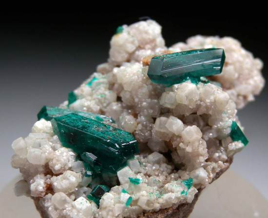 Willemite and Dioptase from Gotala, near Mindouli, Pool Dept., Rep. of Congo [db_pics/pics/fm526b.jpg]