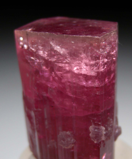 Lepidolite on Tourmaline from Himalaya Mine, Mesa Grande, San Diego Co., California, USA [db_pics/pics/fm528d.jpg]