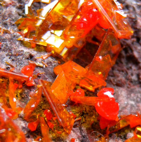 Wulfenite with Mimetite from Rowley Mine, Maricopa Co., Arizona, USA [db_pics/pics/fm530b.jpg]
