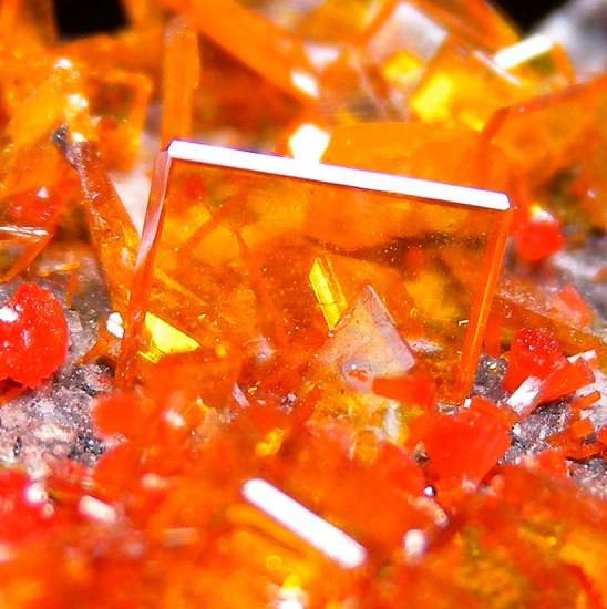 Wulfenite with Mimetite from Rowley Mine, Maricopa Co., Arizona, USA [db_pics/pics/fm530c.jpg]