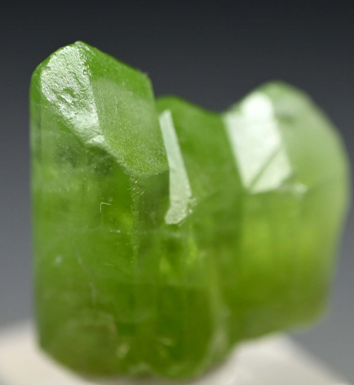 Peridot from Sapat Gali, Mansehra District, Pakistan [db_pics/pics/fm543b.jpg]