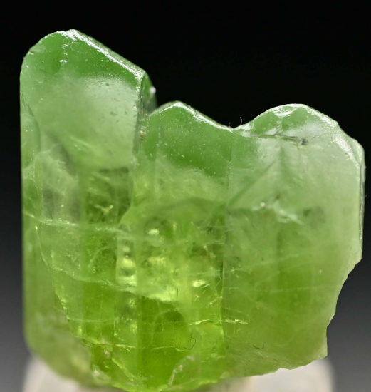 Peridot from Sapat Gali, Mansehra District, Pakistan [db_pics/pics/fm543c.jpg]