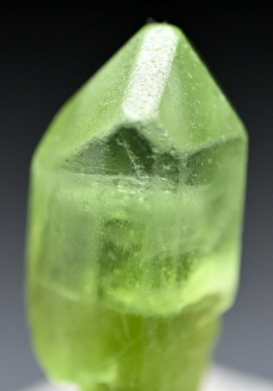 Peridot from Sapat Gali, Mansehra District, Pakistan [db_pics/pics/fm549a.jpg]