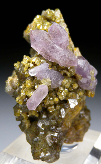 Amethyst on Andradite from Stanley Butte, Graham Co., Arizona, USA [db_pics/pics/fm560a.jpg]