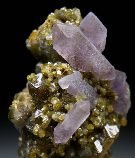 Amethyst on Andradite from Stanley Butte, Graham Co., Arizona, USA [db_pics/pics/fm560b.jpg]