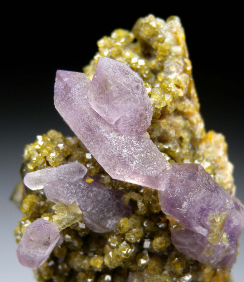 Amethyst on Andradite from Stanley Butte, Graham Co., Arizona, USA [db_pics/pics/fm560c.jpg]