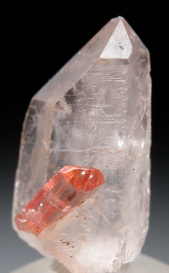 Topaz on Quartz from Ouro Preto, Minas Gerais, Brazil [db_pics/pics/fm561b.jpg]
