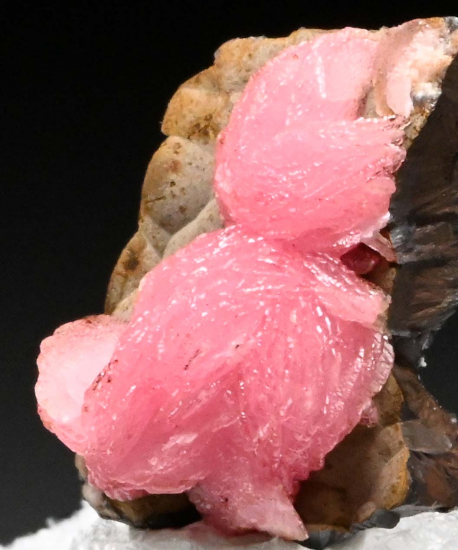 Rhodochrosite from N'Chwanning Mine, Kuruman, South Africa [db_pics/pics/fm566b.jpg]