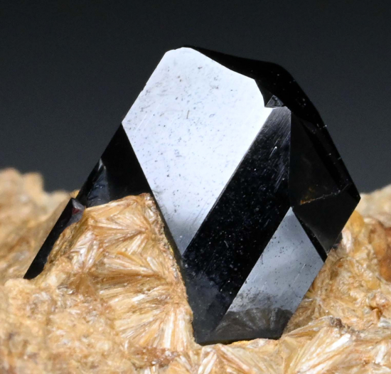 Rutile in Pyrophyllite from Champion Mine, Mono Co., California, USA [db_pics/pics/fm573b.jpg]