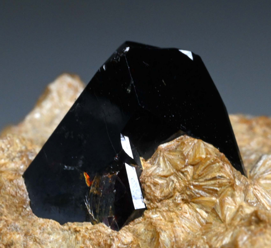Rutile in Pyrophyllite from Champion Mine, Mono Co., California, USA [db_pics/pics/fm573c.jpg]