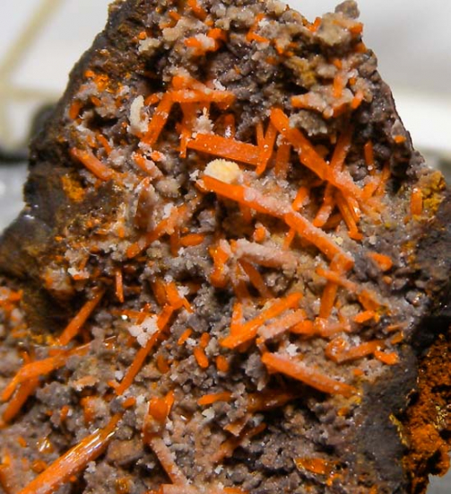 Dundasite with Crocoite from Adelaide Mine, Dundas, Tasmania, Australia [db_pics/pics/fm590d.jpg]