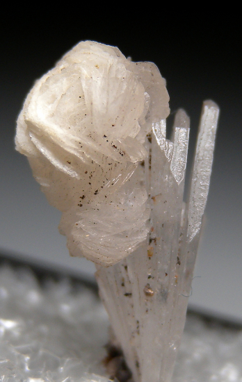 Calcite on Hemimorphite from Stevenson-Bennett Mine, Dona Ana Co., New Mexico, USA [db_pics/pics/fm599b.jpg]