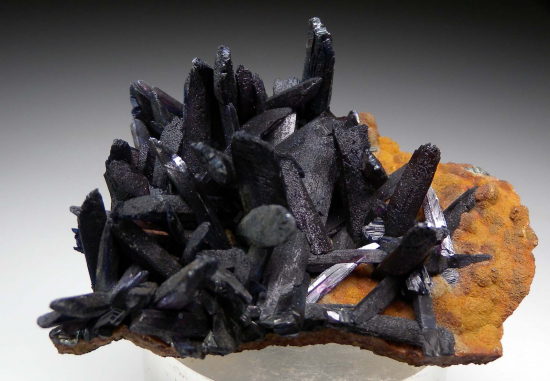 Vivianite from Blackbird Mine, Lemhi Co., Idaho, USA [db_pics/pics/fm637a.jpg]