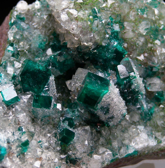 Quartz on Dioptase from Kaokaveld, Namibia [db_pics/pics/fm640d.jpg]