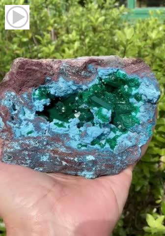 Dioptase on Plancheite from Omaue Mine, Kaokaveld, Kunene Region, Namibia [db_pics/pics/fm646.mp4]