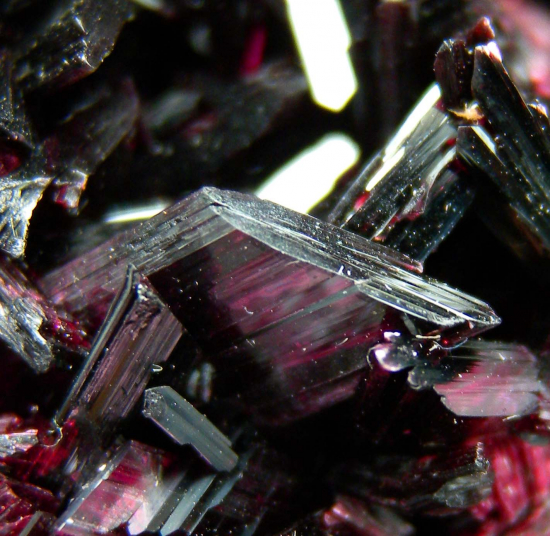 Erythrite from Bou Azzer, Draa-Tafilalet, Morocco [db_pics/pics/fm663d.jpg]