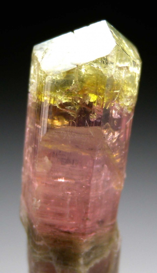 Dravite from Mwajanga, near Komolo, Tanzania [db_pics/pics/fm673c.jpg]