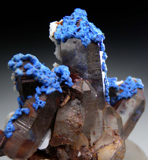Azurite, Malachite on Quartz from Mecissi, Er Rachidia Prov., Morocco [db_pics/pics/fm675c.jpg]